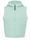 4100 - Mint